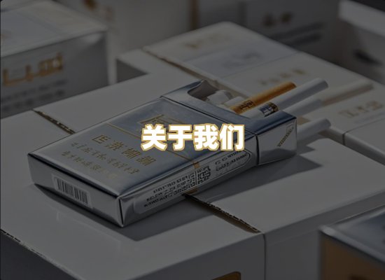 关于我们